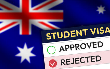 Government policy has put universities into survival mode