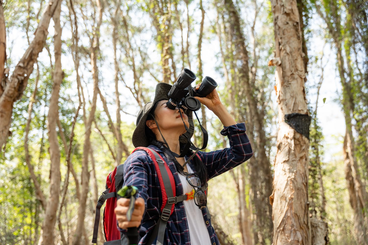 ‘Birdbrain’ benefits: How being an expert birdwatcher may boost cognition
