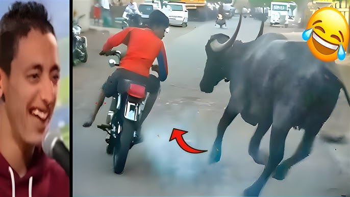 150 FUNNIEST Videos of 2026