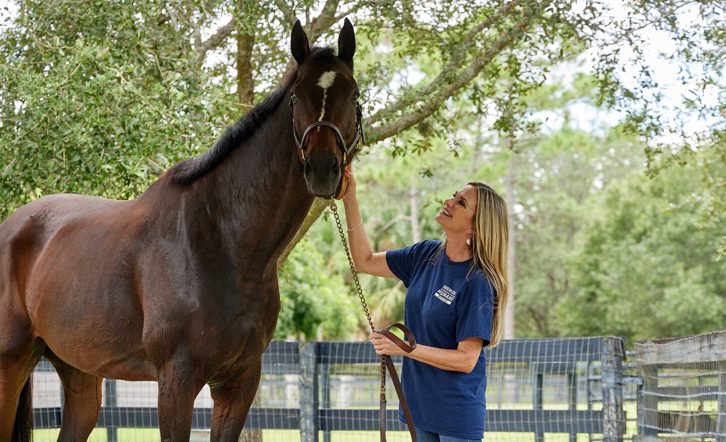 Animals That Asked People for Help & Kindness! 